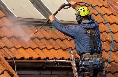 Démoussage et hydrofuge de toiture à Remomeix